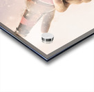 Salute to beer drinking songs  Acrylic print