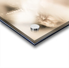 Dreamy eyes through wicker lines Acrylic print