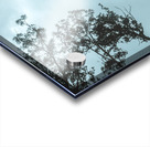 Midnight Canopy Acrylic print