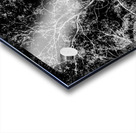 Of a elaborate design Acrylic print