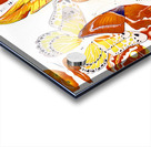 Summers design Acrylic print