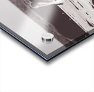 Pelican panorama Acrylic print