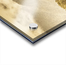 Western woodlands Acrylic print