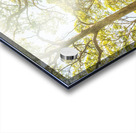 Island Avenue Acrylic print