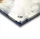 New World Disorder Acrylic print