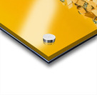 Spring clippings Acrylic print