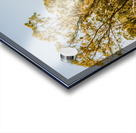 Quaint country view Acrylic print