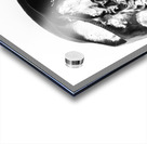 Skulls and dental records Acrylic print