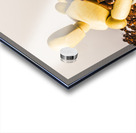 Brewista Acrylic print