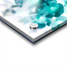 Lantana blue Acrylic print