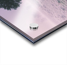 New South Wales foggy meadow Acrylic print