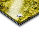 Jungle steams Acrylic print