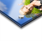 Avant-garden Acrylic print