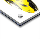 Long Lambo Lineup  Acrylic print