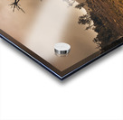 Dark horror landscape of a creepy haunted forest Acrylic print