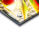 Fisheries and tackle Acrylic print