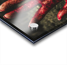 Blood Stained Hand Coming Out Of The Ground At Night Acrylic print