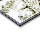 Rustic rural decay Acrylic print