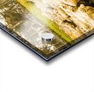 Outback road crossing Acrylic print