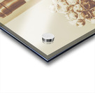 The vine cellar Acrylic print