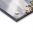 Paradisaical  Acrylic print