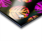 Summer moderns Acrylic print