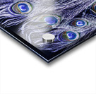 Midnights in dreamtime Acrylic print