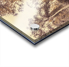 Old Woodery Acrylic print