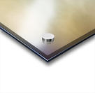 Fargone Farmhouse Acrylic print