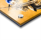 Custom Classic Acrylic print