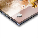 Guards of tradition Acrylic print