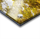 Queensland Wy. Acrylic print