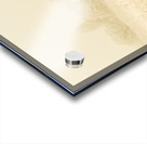 Icy cold foggy woodland Acrylic print