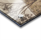 Calming country Acrylic print