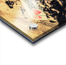 Royal flush Acrylic print