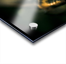 Leaf Bites Acrylic print