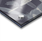 Flying featherabstract background Acrylic print