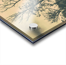 Wild Australian scrublands Acrylic print