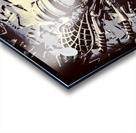 Star bee Acrylic print