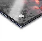 Death Blooms Acrylic print