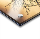 Dead tree silhouette Acrylic print