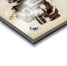 When the photographers away the toys will play Acrylic print