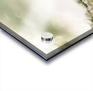 Untouched mountain wilderness Acrylic print