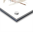 The Great Romanticism Acrylic print