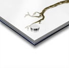 Deadwood Acrylic print