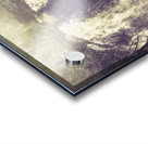 Imaginations wild Acrylic print