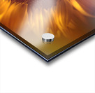 Flower flare Acrylic print