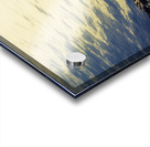 Edge of the wild Acrylic print