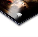 The walk-in Acrylic print