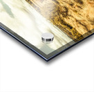 Rugged Australian pastures Acrylic print